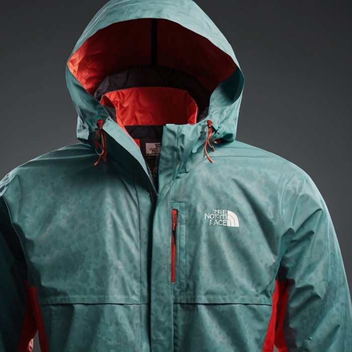 Giubbotto North Face 2